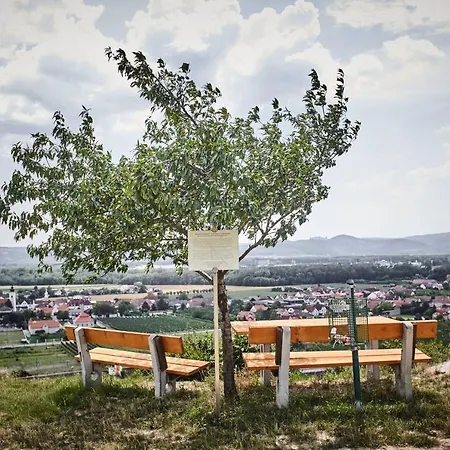 Schmankerl Und Gast * Rohrendorf bei Krems