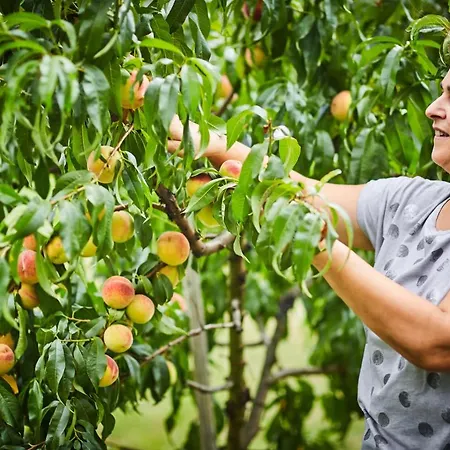 Schmankerl Und Gast Bed and Breakfast