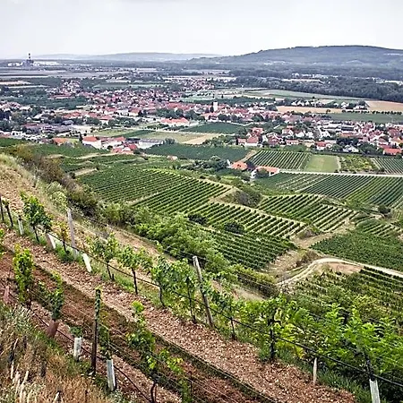 Schmankerl Und Gast Bed & Breakfast Rohrendorf bei Krems