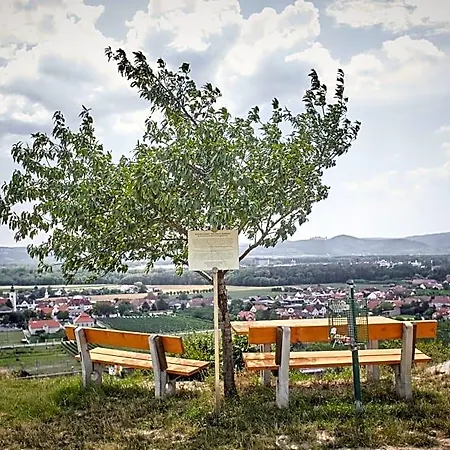 Schmankerl Und Gast
