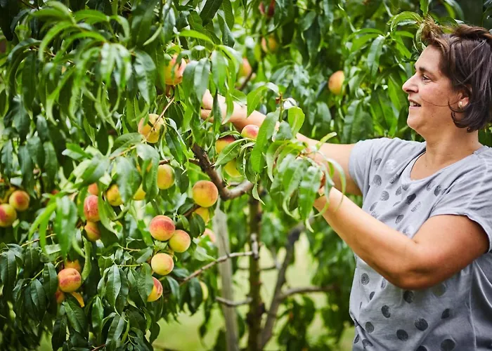 Schmankerl Und Gast Bed and breakfast