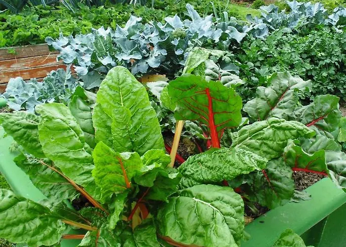 Bed and breakfast Schmankerl Und Gast 3*